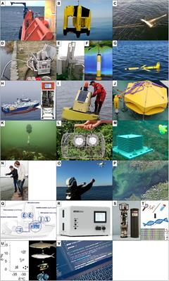 A Synthesis of Marine Monitoring Methods With the Potential to Enhance the Status Assessment of the Baltic Sea